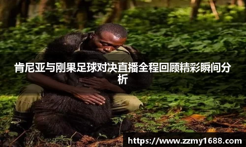 J9.COM·(中国区)官方网站